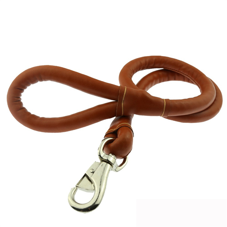 Detail-02 dog collar and leash.jpg